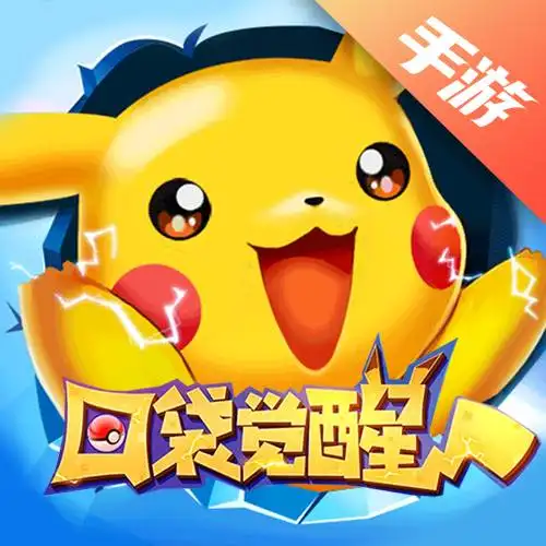 口袋觉醒