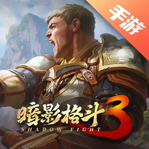 暗影格斗3